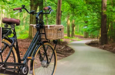Fahrrad auf einem asphaltierten Waldweg
