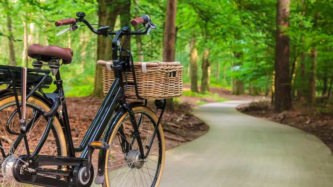 Fahrrad auf einem asphaltierten Waldweg