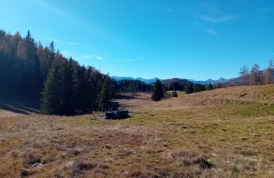 Im Vordergrund extensive Weide, im Hintergrund Moorfläche