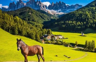 Pferd auf einer Wiese im Hintergrund Berge